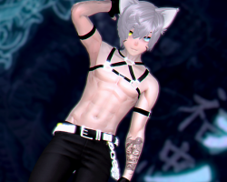 Ryo 3.0