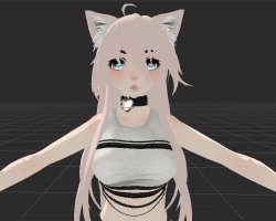 Nitro Kitty