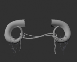Horn 9
