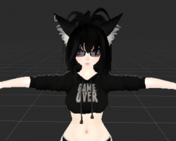 NINA v2