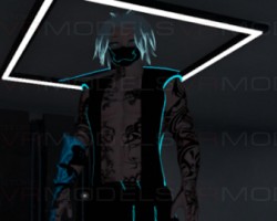 Male Ninja (Ye stupid name )