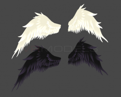 3D Wings