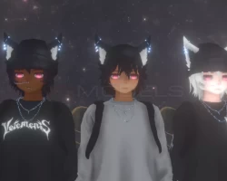 Koji