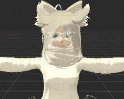 White Arctic Fox