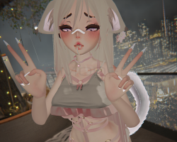 Gamer Neko