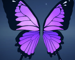 Mariposa Wings