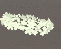 Flower crown