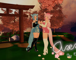 Axxi