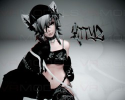 Tora