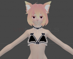 Kitty Kat Maid