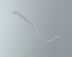 skeleton tail
