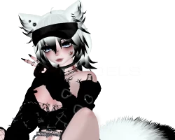 BIBI