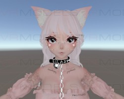 고양이