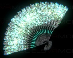 Folding Fan