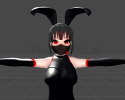 Cyber bunny 3.0