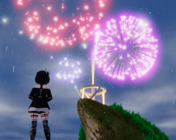 Watching fireworks !