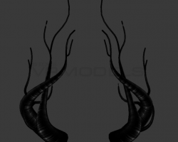 More Deer Horns
