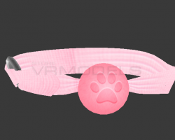 Paw gag