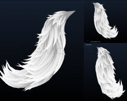 Short Tail