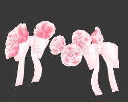Flowers and Bows