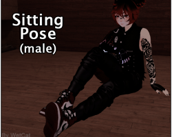 SitPost by WetCat (Male)