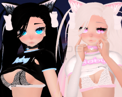 Kitten Pink&Blue