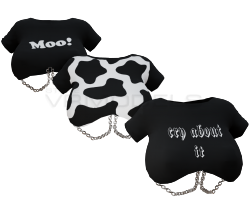 Chain Shirt