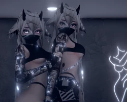 Rina 3.0