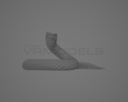 Sasukes Snake