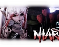 Niaraa