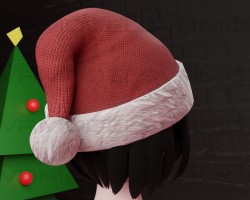 Christmas Hat