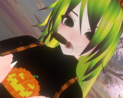 Schweed Gal