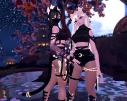 Sayura 3.0