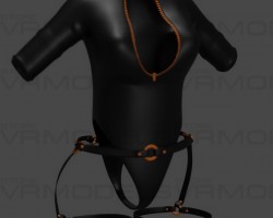 Bodysuit and Straps 2