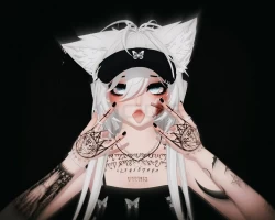 stella 3.0