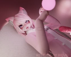Discord Kitten
