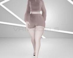 Fuzzy set