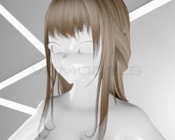 Half Up Hair