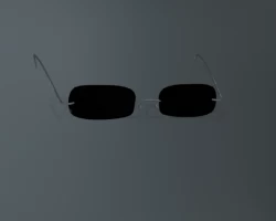 Sensei's Glasses