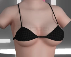 Bra
