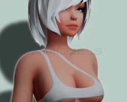 Nacho (Nitro Hair Asset)