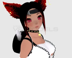 Ninja Cat Girl