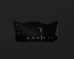 cat hat
