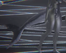 Shark Tail