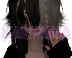 Zaan