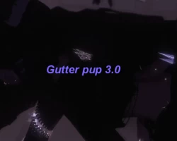 Gutter Mutt