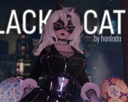Mier the Black Cat