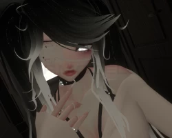 Stella