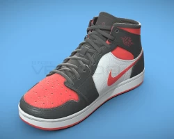 Nike Air Shoe Model