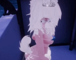 samoyed